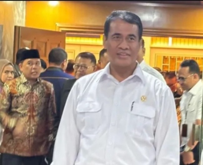 Menteri Pertanian Andi Amran. [Instagram]